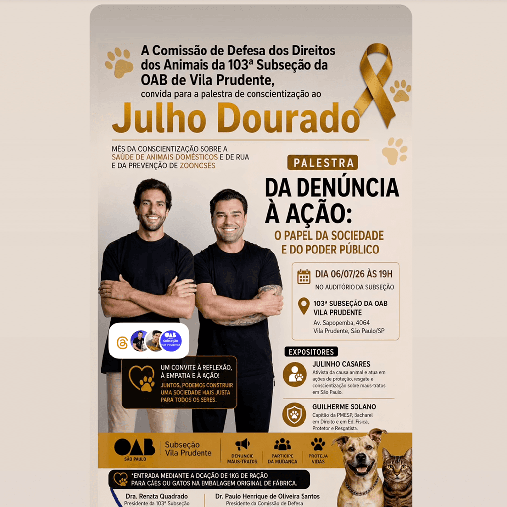 Da denúncia à ação: o papel da sociedade e do Poder Público
